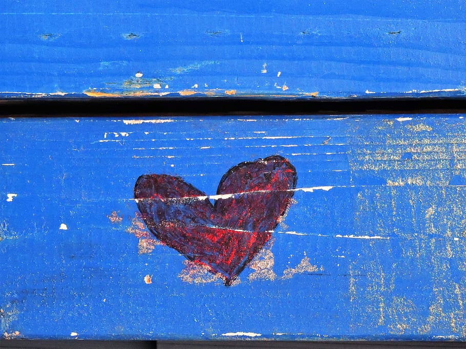 Graffiti, Love, blue, red heart, heart, red, wood, close-up, one animal, animals in the wild, animal themes