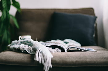 休憩、 雑誌、 かわいい、 子犬、 インテリア、 リラックス、 読書、 寝椅子、 イケア寝椅子、 時間、 室内