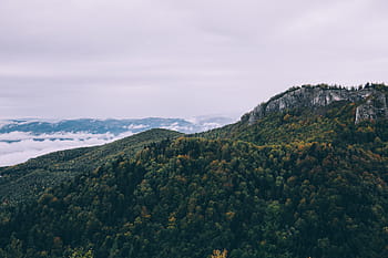mountains, surrounded, green, leaf trees, mountain, covered, trees, valley, rock, hill, forest