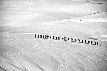 people, walking, snow, covered, land, trekking, hiking, group, alpine, line, adventure