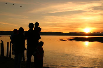 silhuet, familie, legeme, vand, ser, solnedgang, solnedgange, lykke, strand, livsstil, hav