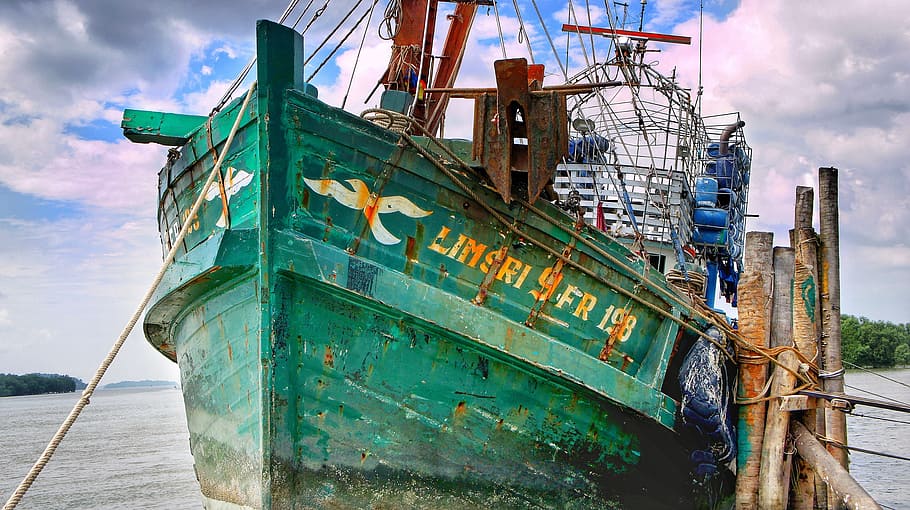 rybolov, trawler, loď, přístav, průmysl, venku, dok, Ryba, marina, námořní, oceán