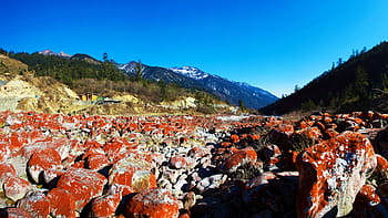 rojo, gris, campo, rocas, playa rocosa roja, parque de redstone, algas naranjas alegres, hailuogou, montaña, azul, estadio