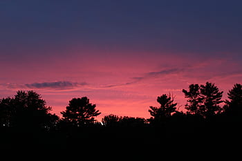 sunset, pink, yellow, clouds, cloudscape, trees, nature, landscape, beautiful, dusk, sky