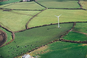 nature, grasslands, plains, grass, pastures, animals, plots, boundaries, windmill, houses, rural