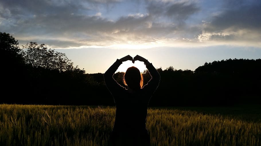 osoba, stojící, travnaté hřiště, qi gong, stín, silueta, lichtspiel, póza, krajina, slunečního světla