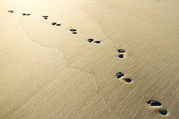 sand footprints, daytime, sand, beach, sunrise, footprints