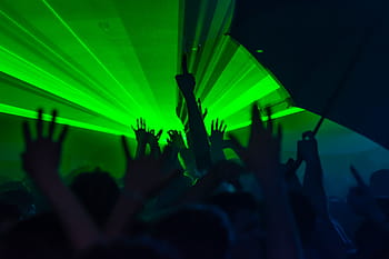 silhouette photography, people, raising, hands, green, light, party, lights, music, night, club