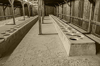 Osvětim 2, brezinka, Osvětim, Polsko, holocaustu, tábor, muzeum, Židi, pamětní, unesco