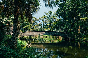 bridge, river, tall, green, trees, nature, landscape, leaves, forest, woods, clouds