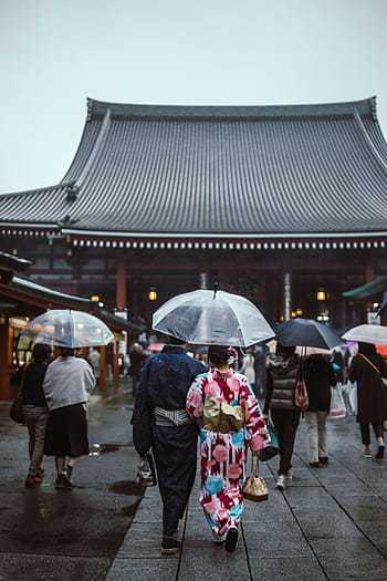 lidé, hospodářství, deštník, chrám, během dne, asijský, ženy, dívky, kimono, japonský, lucerna