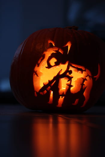 Pumpkin, Halloween, Frankenweenie, zombie dog, sparky, bright, hollow out, autumn, orange, vegetables, harvest