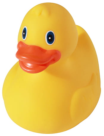 duck, plastic, yellow, toy, beak, animal, game, fun, bathroom, isolated