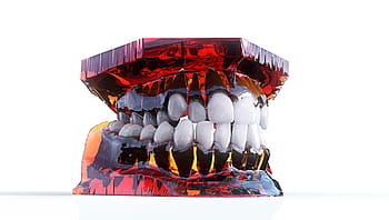 teeth, jaw, 3d model, orthodontics, dentistry