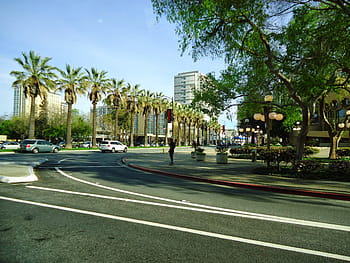 træer, gade, california, downtown san jose, San Jose, Californien, downtown, fotos, offentligt domæne, vej, San Jose, Forenede Stater