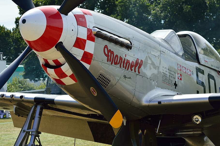 γκρί, marinell, curtiss, p-40, warhawk, p51 mustang, επίπεδο, μαχητικό αεροπλάνο, αεροσκάφος, p51, μαχητής