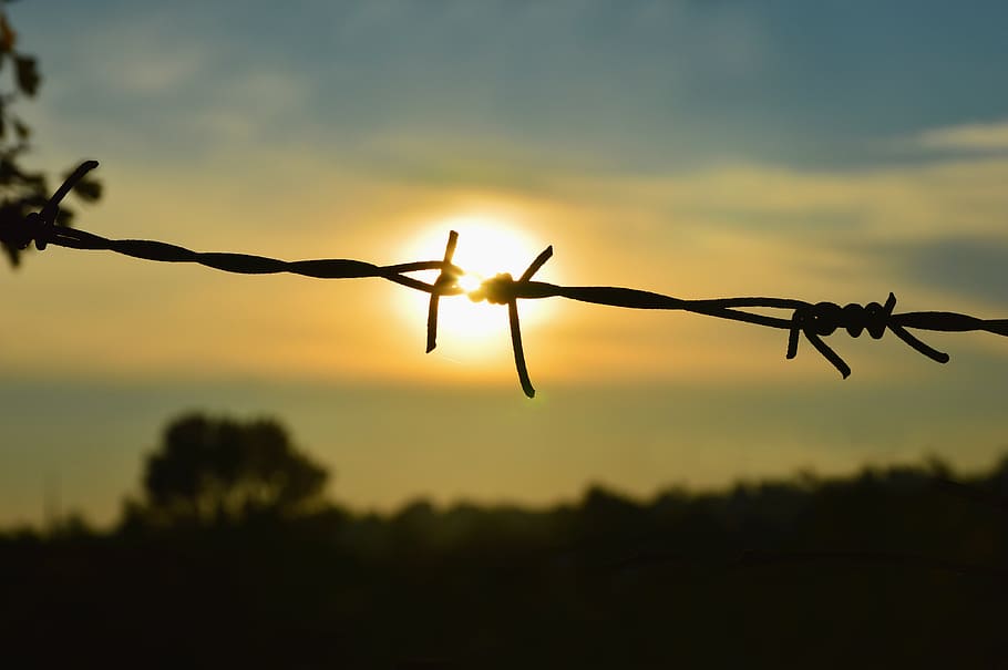 catturato, cattività, liberazione, riposa in pace, sole, filo, recinto, filo spinato, prigione