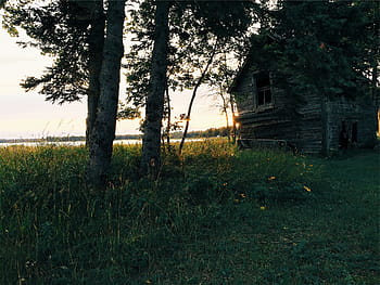 fotografie, hnědý, Dům, vedle, strom, tělo, voda, dřevěný, zelená, obklopit, tráva