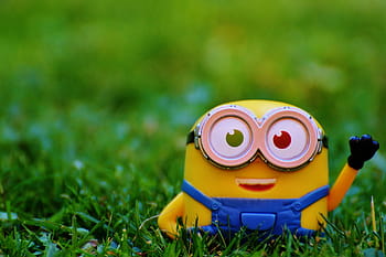 selective, focus photography, minion, grass, Figure, Minions, Wave, Toys, funny, children, yellow