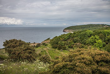 θάλασσα, bornholm, παραλία, Δανία, δάσος, φύση, σκηνικά, νερό, σύννεφο - ουρανό, ουρανός
