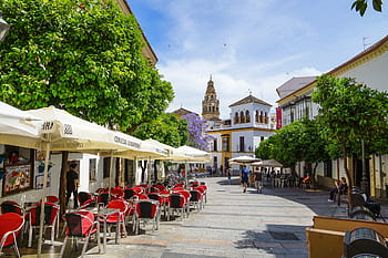 Španělsko, cordoba, andalusie, světové dědictví, mezquita, město, květináč, cestovní ruch, nebe, budova, maurský