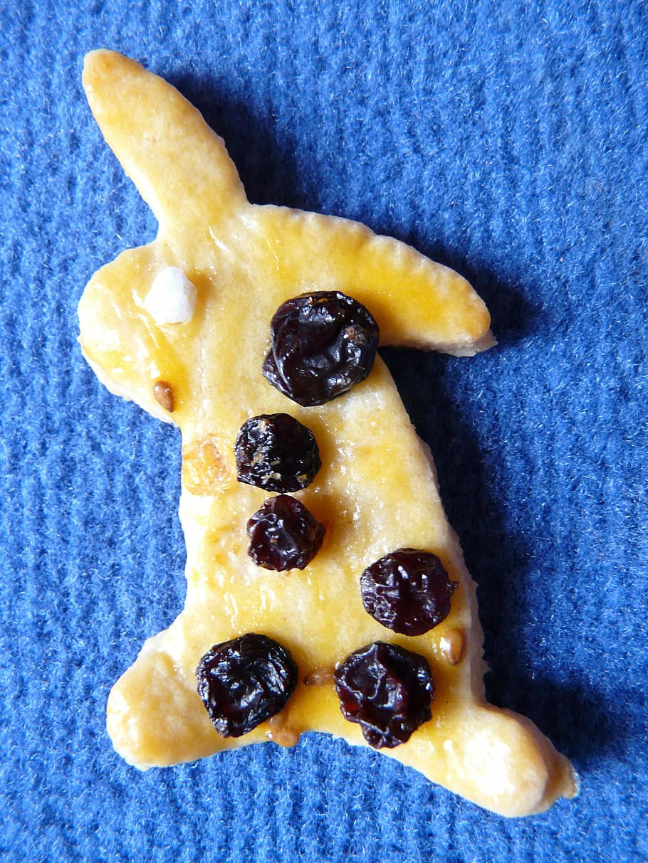 velikonoční zajíček, velikonoční, velikonoční dorty, zajíc, upéct, těsto, ausstecherle, recept, trouba, cookie, jemné pečivo