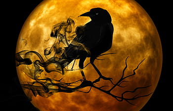 stojící, přední, plný, měsíc, děsivé, halloween scéna, vrána, větev, úplněk, předvečer Všech svatých, scéna