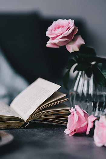 encantador, rosas, libro, café, rosa, interior, descansando, relajarse, esencial, lectura, tiempo