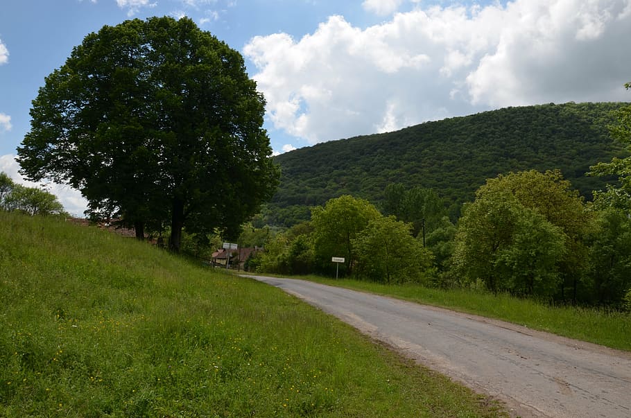 natura, foresta, regione, alberi, attrazioni turistiche, verde, paesaggio ungherese, Ungheria