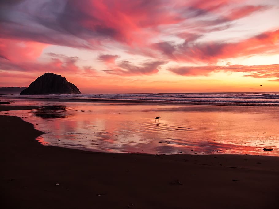 photography, beachside, sunset, beach, scene, evening, beatiful, colors, orange, pink, magenta