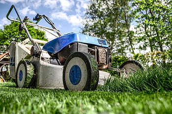 Basso, fotografia ad angolo, blu, nero, Spingere, falciatore, grigio, prato, verde, erba, campo