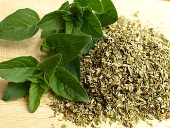 vihreiden lehtien kasvi, oregano, yrttejä, keittiö, kokki, aromaattiset yrtit, kuiva, Välimeren, puun lehti, yrtti, ruoka