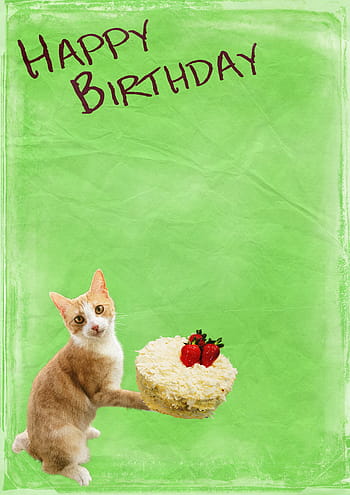 birthday-cat-cake-background-royalty-free-thumbnail.jpg