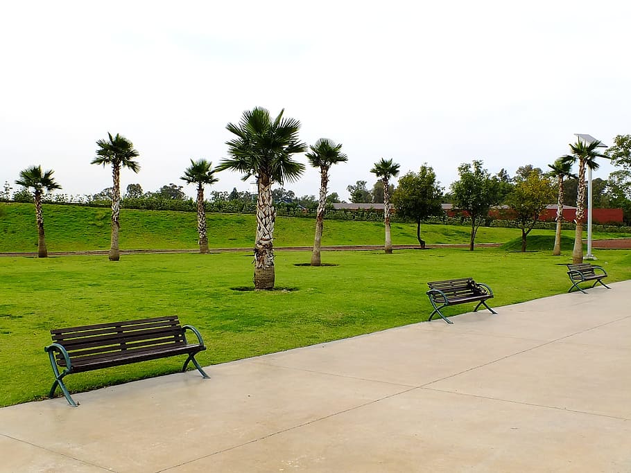Earth, Spring, Architecture, park, perspective, monument, trees, artistic, bench, outdoors, tree
