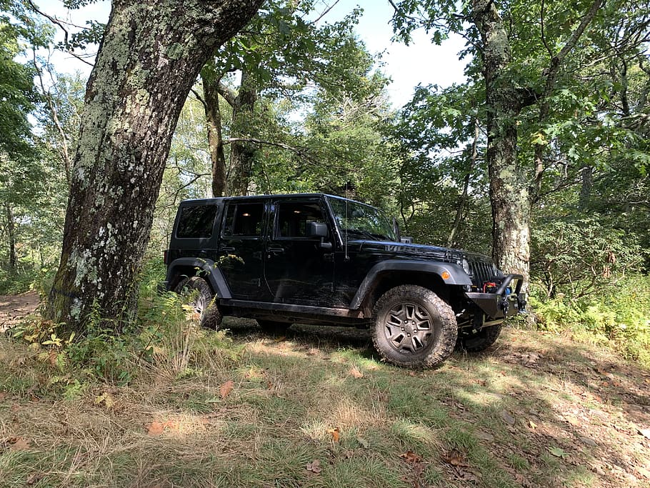 jeep, trail, travel, road, dirt, adventure, 4x4, trees, sport, mud, wheels