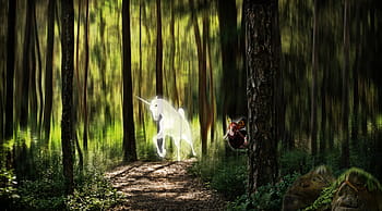 unicorn, forest, daytime, elf, fantasy picture, photo montage, mysticism, mythical creatures, between world, control, desktop format