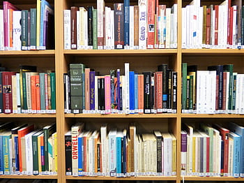 knih, hnědý, dřevěný, police, regál, knihovna, katalog, barva, kultura