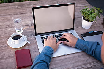 kişi, kullanma, macbook, profesyonel, fincan cüzdan, yeşil, bitki, tablo, ev ofisi, programlama, programcı