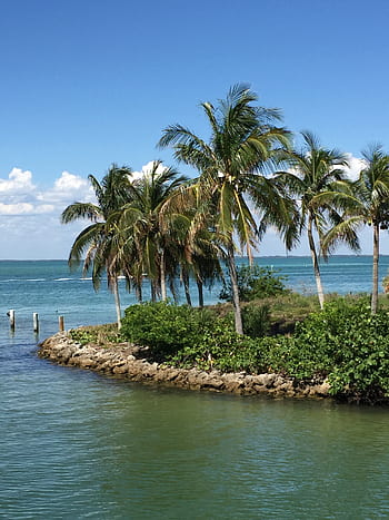 Insel, Island, Meer, Wasser, Natur, Strand, Sommer-, Küste, Florida