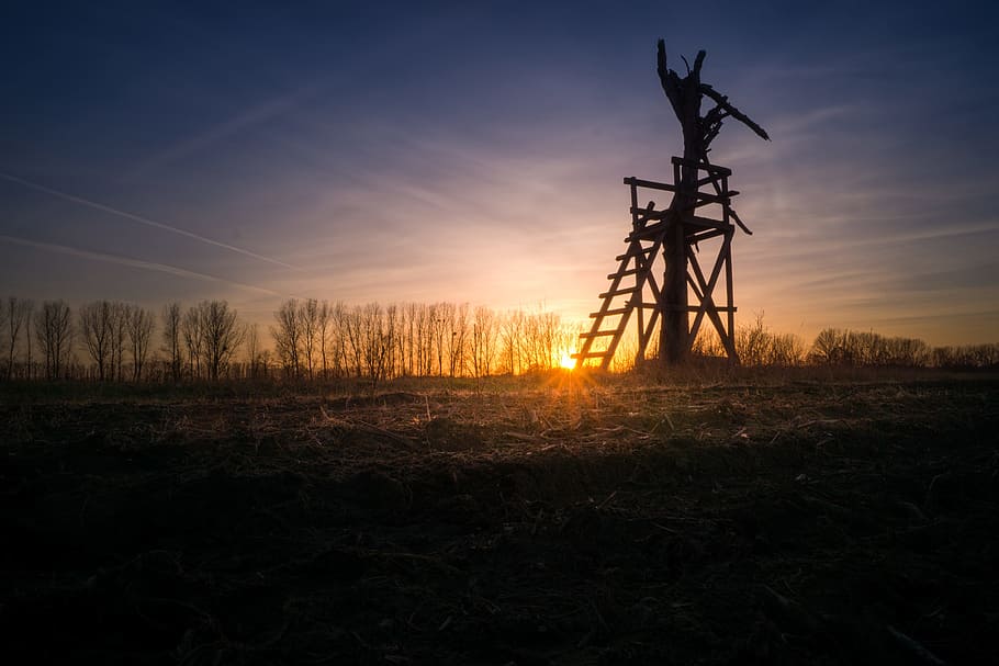 Sunset, Back Light, Dusk, Silhouette, clouds, lighting, romance, sunbeam, color, winter, dead tree