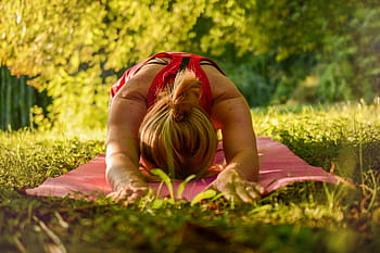 mujer, yoga, al aire libre, calma, liberación, estiramiento, hora dorada, naturaleza, recreación, árboles, paz