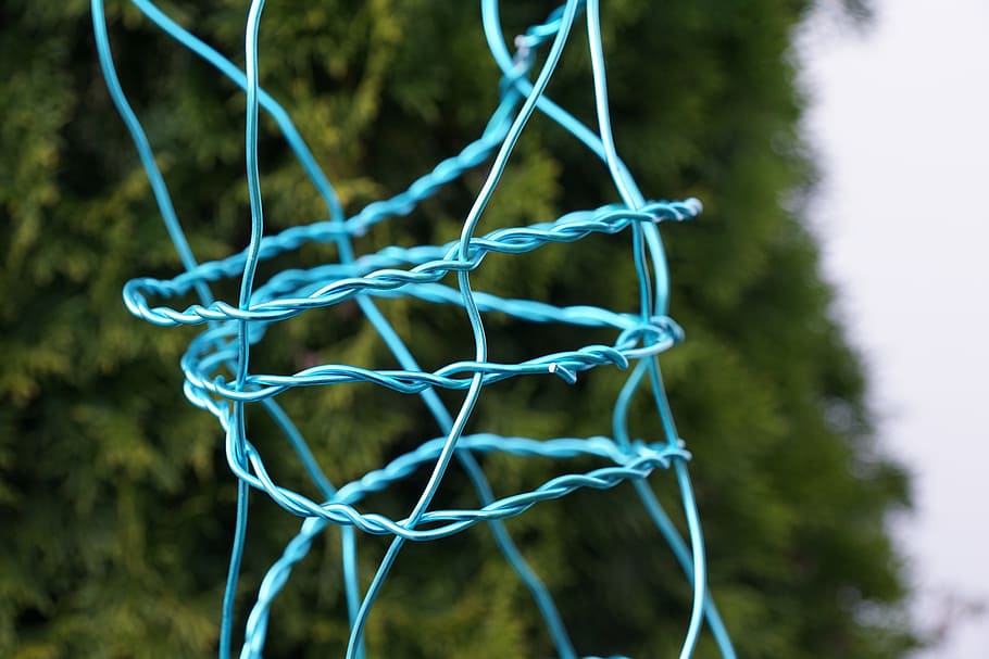 filo, turno, contorto, blu, arte, nessuno, avvicinamento, sport, albero, giorno, all'aperto