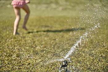 girl, playing, grass field, sparkling, water, gray, sprinkler, green, grass, field, fun