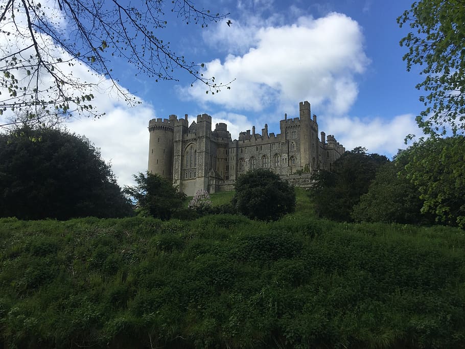 arundel, castello di Arundel, castello, West Sussex, Inghilterra, estate, pendio