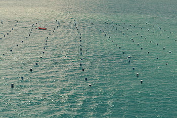 photography, orange, boat, body, water, black, buoys, ocean, sea, wave, nature