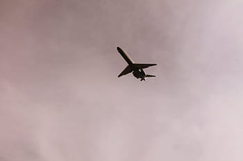 aereo, volante, cielo, giorno, bianca, nuvoloso, ancora, elementi, cose, volo, volare