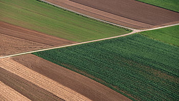 arable land, fields, agriculture, bird's eye view, geometric, green, structure