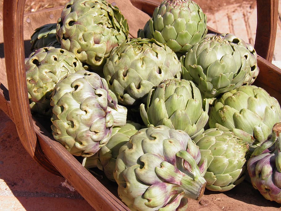 round, green, basket, Artichokes, Globe, Vegetables, globe artichokes, food, healthy, fruit and vegetables, fresh vegetables