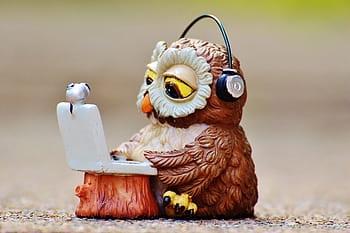 closeup, photography, brown, owl, wearing, headphones, using, laptop figurine, computer, funny, laptop