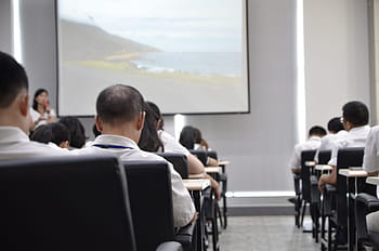 white, black, projector screen, projector, screen, office, conference, conference room, introduction, training, learning
